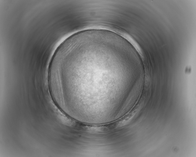 X0000090781004200708101828