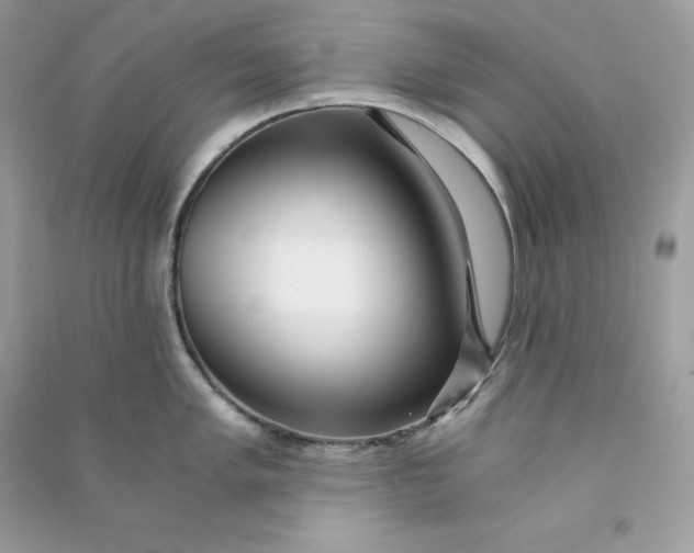 X0000090781005200708101828