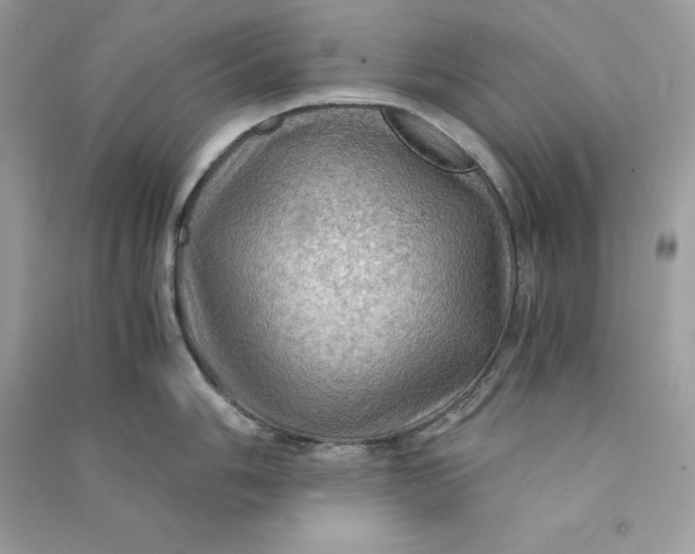 X0000090781006200708101828