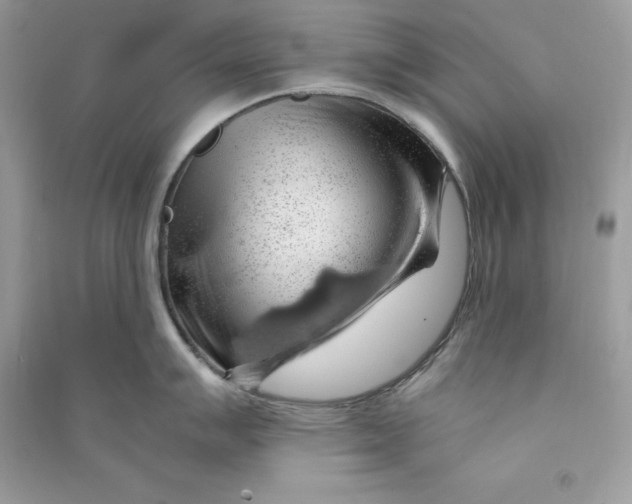 X0000090781007200708101828