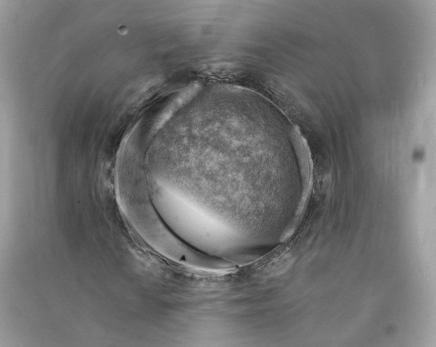 X0000090781010200708101827