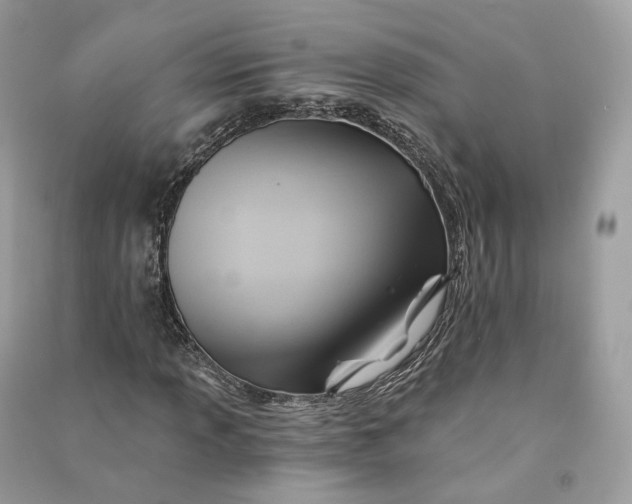 X0000090781013200708101827