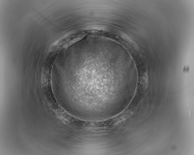 X0000090781014200708101828