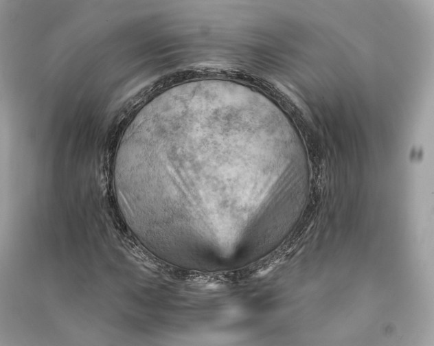 X0000090781015200708101828