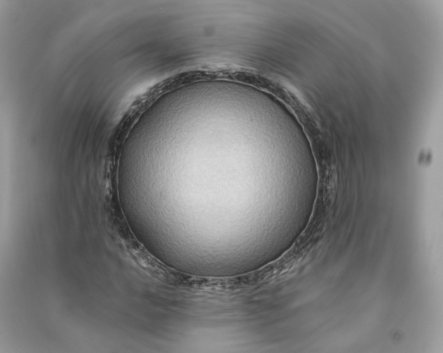 X0000090781016200708101828