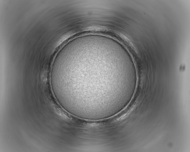 X0000090781017200708101828