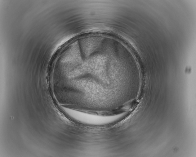 X0000090781018200708101828