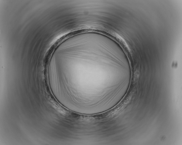 X0000090781019200708101828