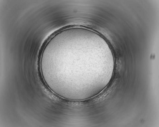 X0000090781020200708101828