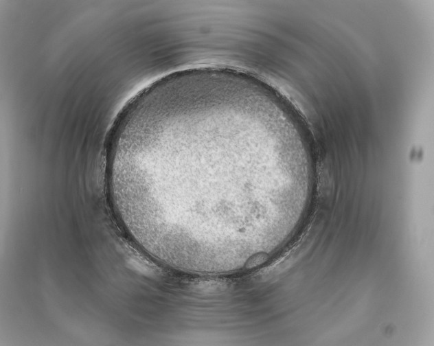 X0000090781021200708101828