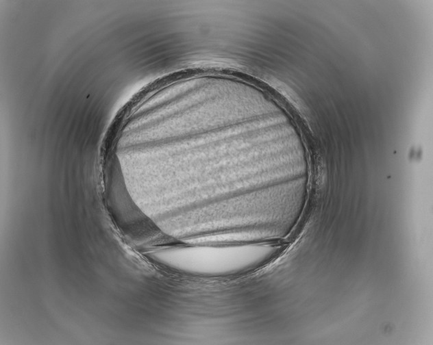 X0000090781022200708101828