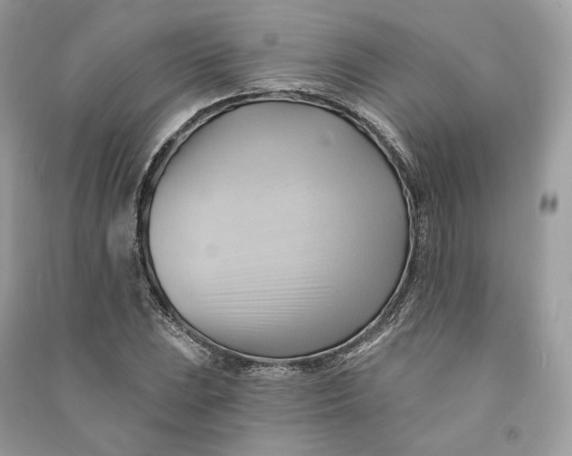 X0000090781023200708101828