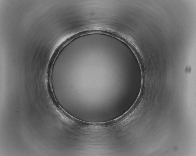 X0000090781024200708101828
