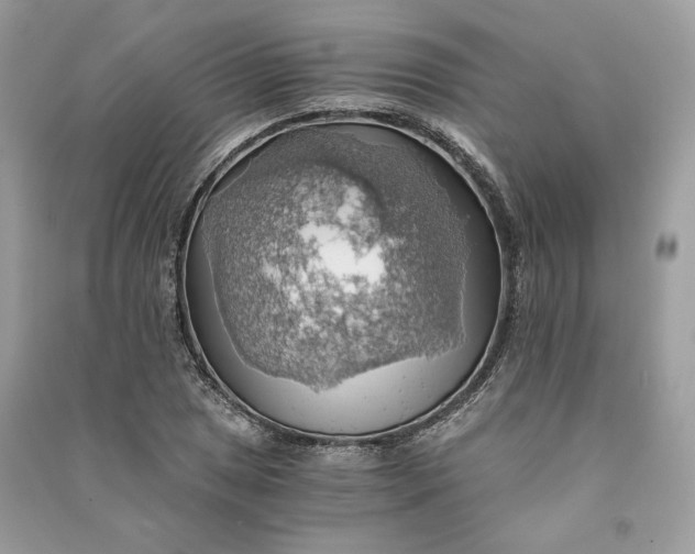 X0000090781025200708101828