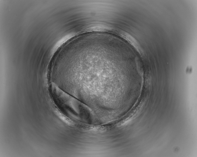 X0000090781026200708101828