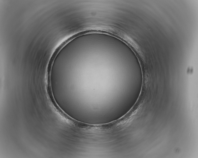 X0000090781028200708101828