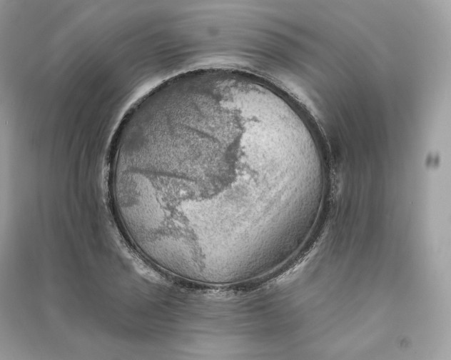 X0000090781029200708101828