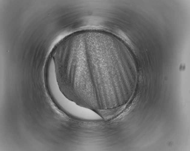 X0000090781030200708101828