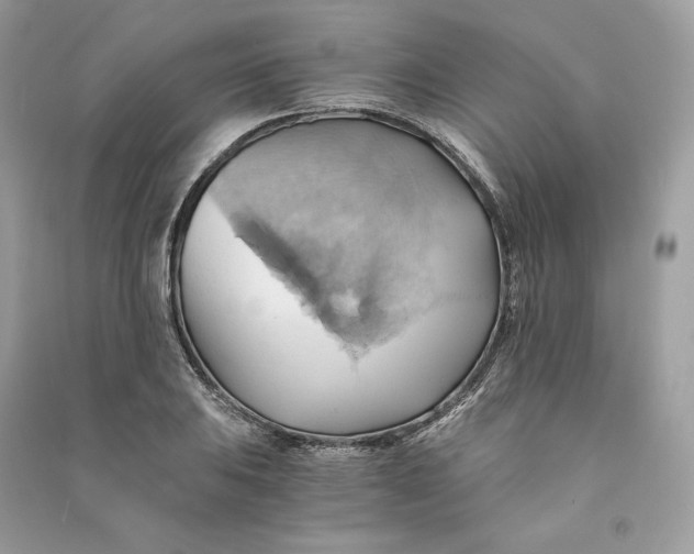 X0000090781031200708101828