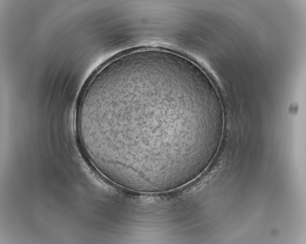X0000090781032200708101828