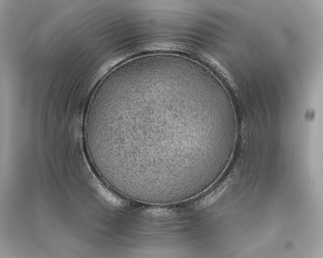 X0000090781033200708101828