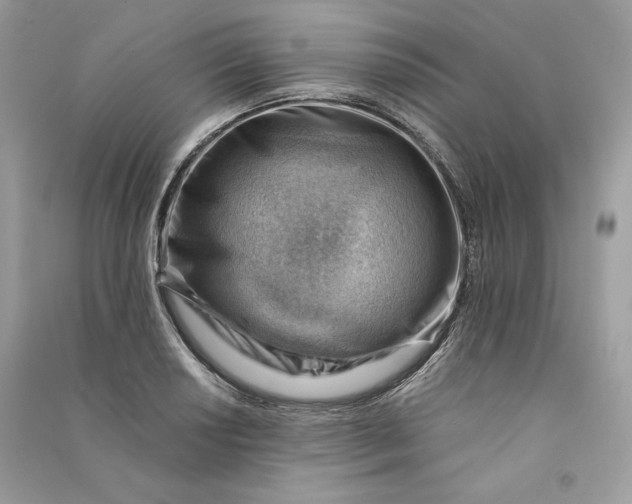 X0000090781034200708101828