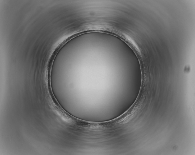 X0000090781035200708101828