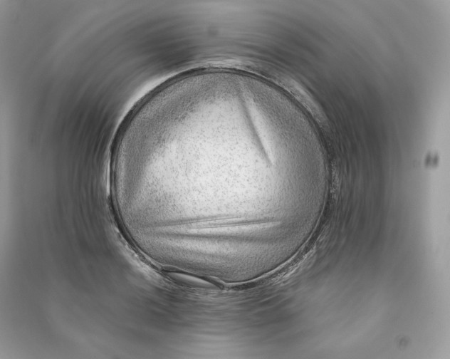 X0000090781036200708101828