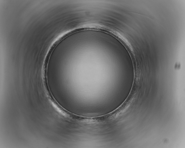 X0000090781037200708101828