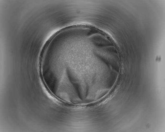 X0000090781038200708101828