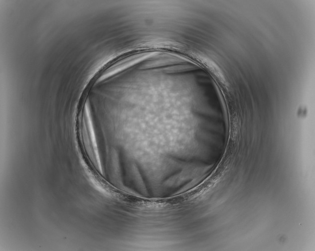 X0000090781039200708101828