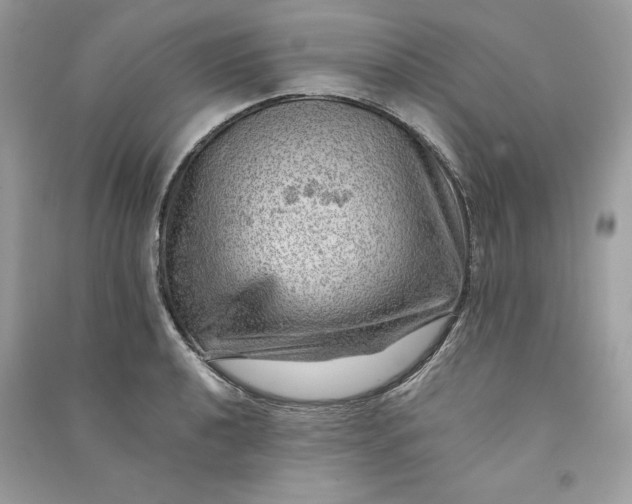 X0000090781040200708101828