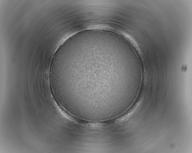 X0000090781041200708101828