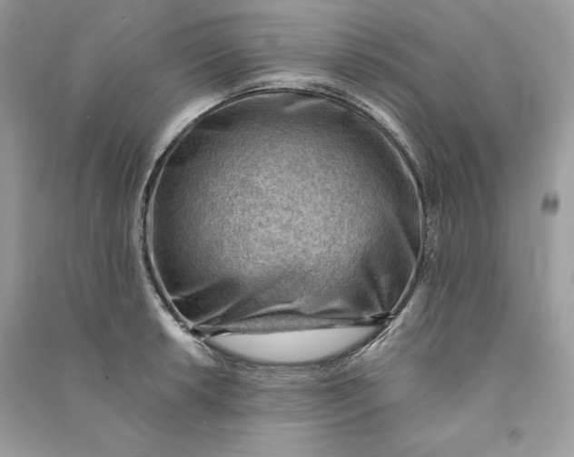 X0000090781042200708101828