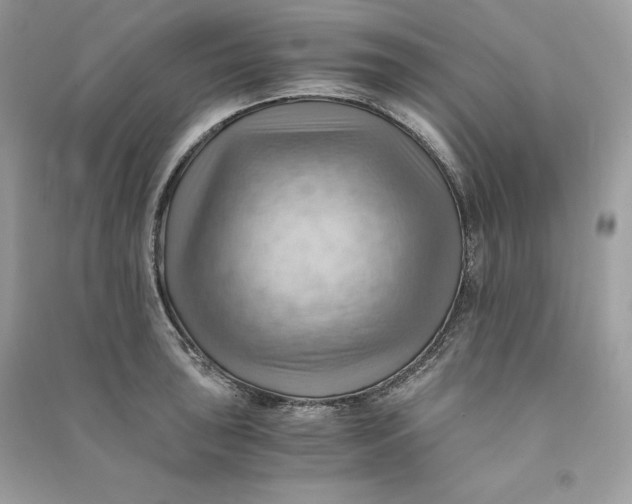 X0000090781043200708101828