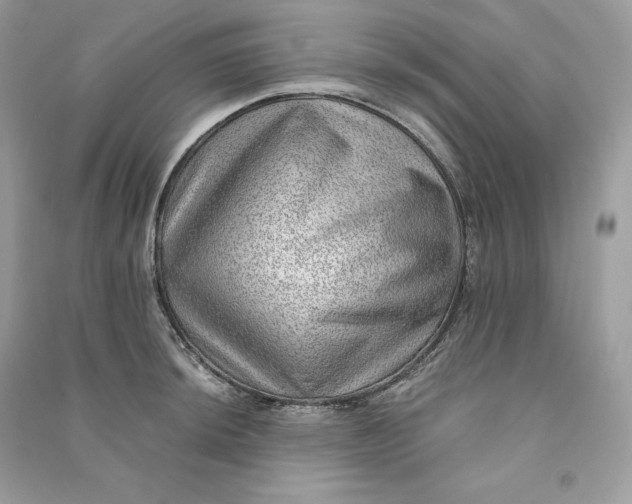 X0000090781044200708101828