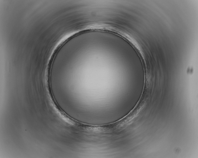 X0000090781045200708101828