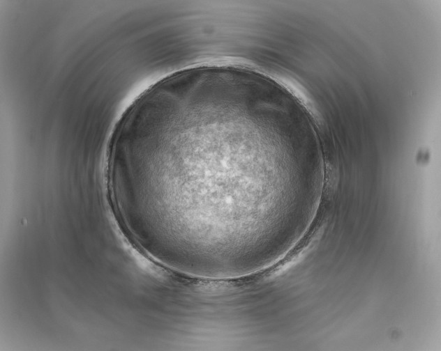 X0000090781046200708101828