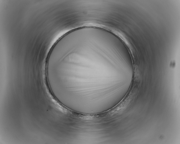 X0000090781048200708101828