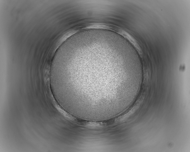 X0000090781049200708101828