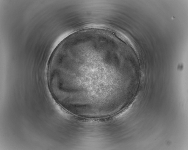 X0000090781050200708101828