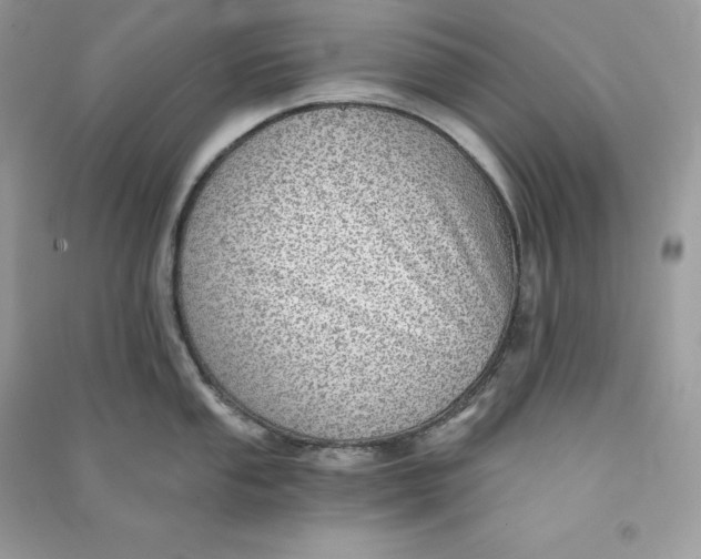 X0000090781053200708101828