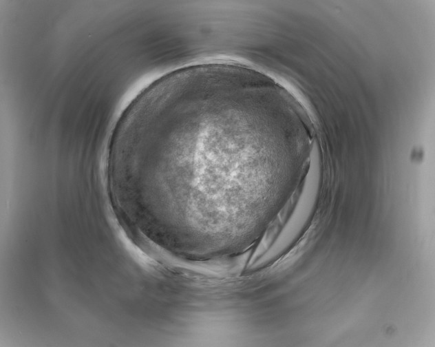 X0000090781054200708101828