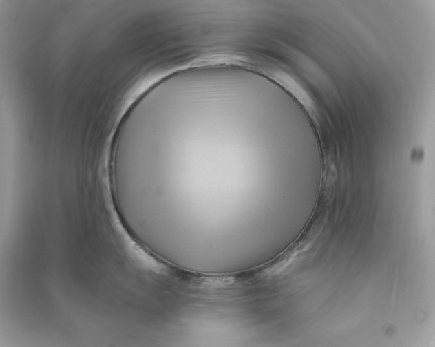 X0000090781055200708101828