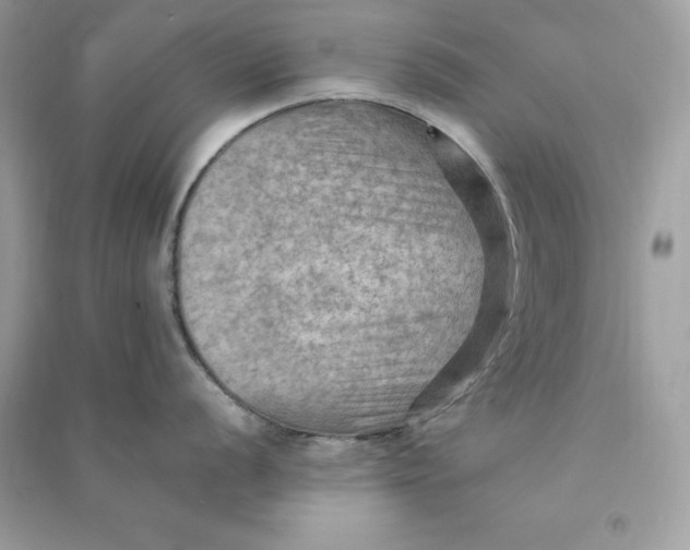 X0000090781056200708101828