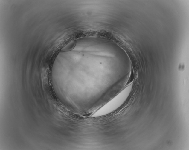 X0000090781059200708101827