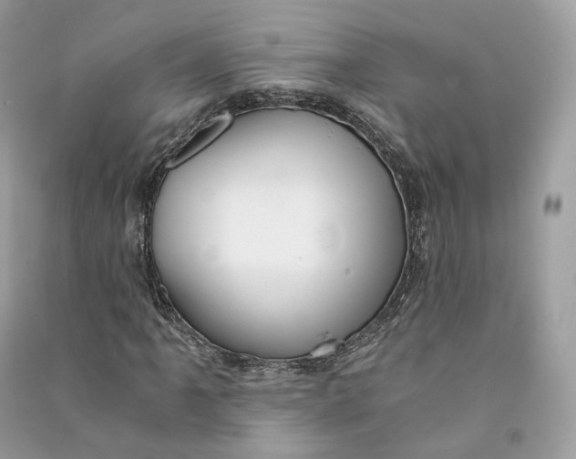 X0000090781061200708101827