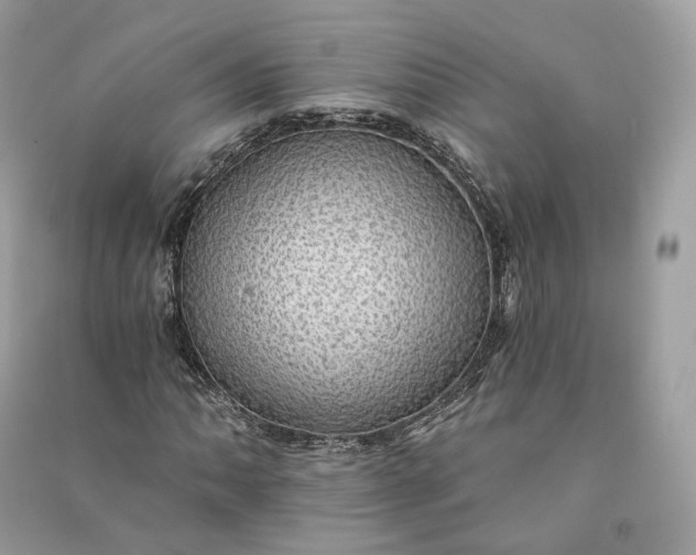 X0000090781062200708101827