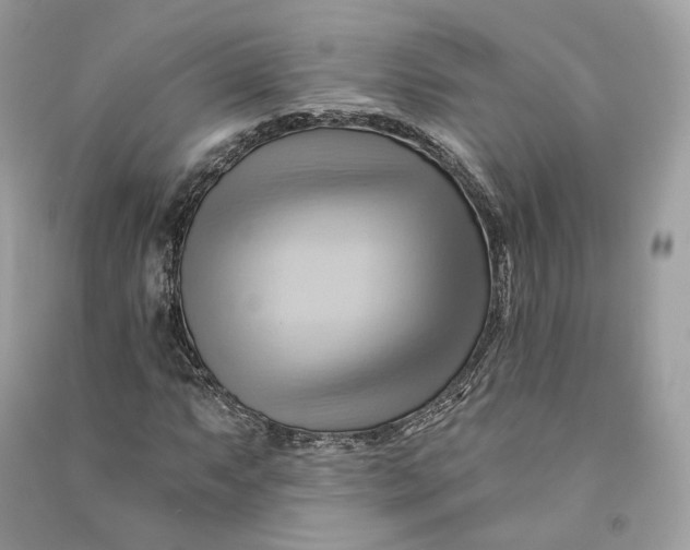 X0000090781063200708101827