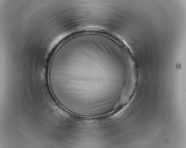 X0000090781066200708101827
